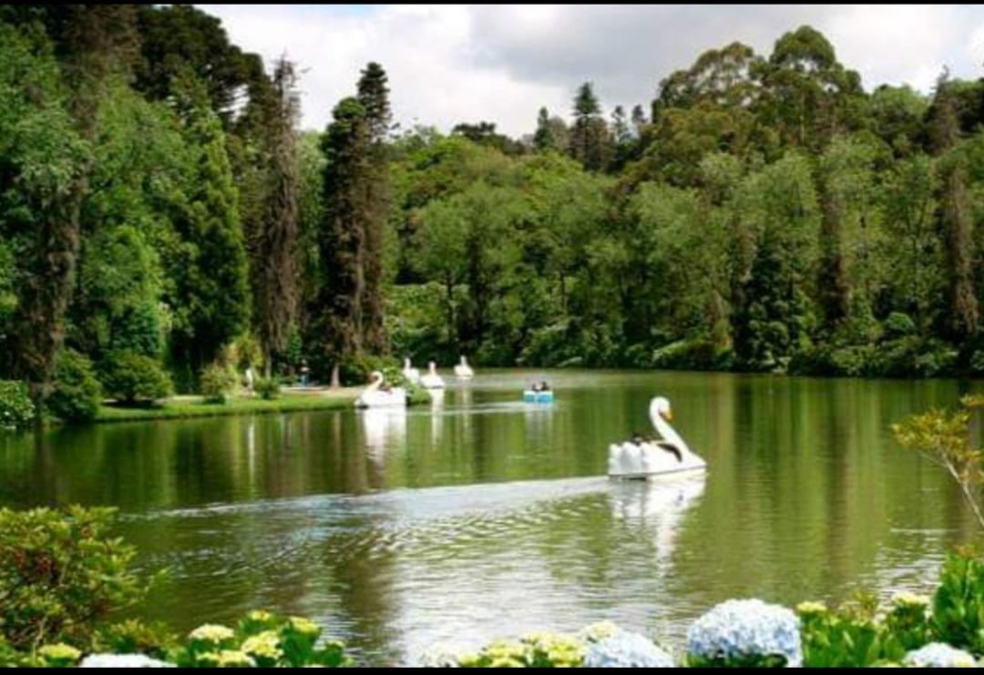 Casa Nobre Gramado Villa Eksteriør billede