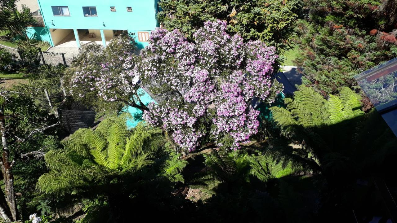 Casa Nobre Gramado Villa Eksteriør billede